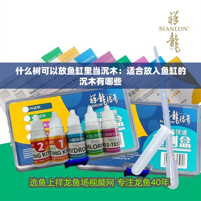 什么樹可以放魚缸里當沉木：適合放入魚缸的沉木有哪些 什么樹可以放魚缸里當沉木：適合放入魚缸的沉木有哪些 魚缸百科