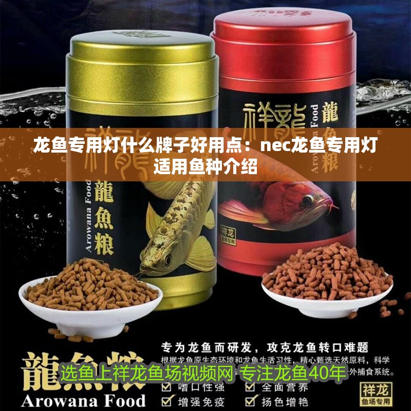 龍魚專用燈什么牌子好用點：nec龍魚專用燈適用魚種介紹