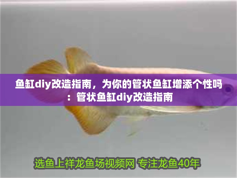 魚缸diy改造指南，為你的管狀魚缸增添個性嗎：管狀魚缸diy改造指南 魚缸diy改造指南，為你的管狀魚缸增添個性嗎：管狀魚缸diy改造指南 魚缸百科