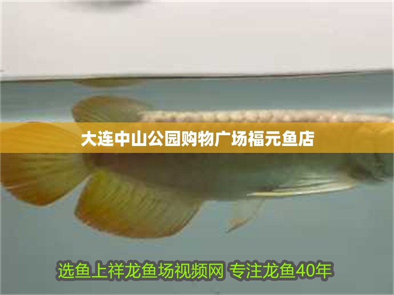 大連中山公園購物廣場福元魚店