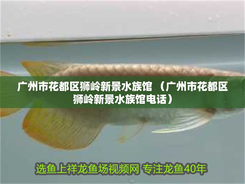 廣州市花都區獅嶺新景水族館 （廣州市花都區獅嶺新景水族館電話）