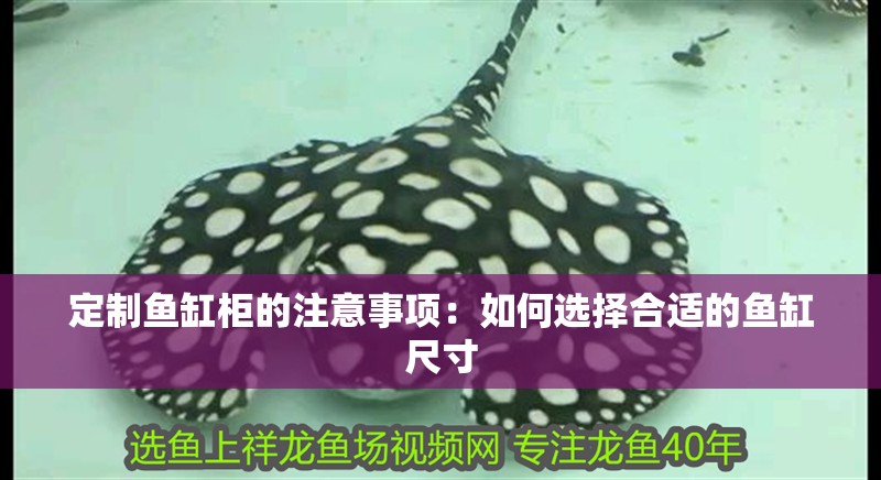 魚缸用增氧泵價格是多少:魚缸增氧機-xtrac增氧機-xtrac增氧機 定制魚缸柜的注意事項:如何選擇合適的魚缸尺寸 魚缸百科 定制魚缸柜的注意事項:如何選擇合適的魚缸尺寸 定制魚缸柜的注意事項:如何選擇合適的魚缸尺寸 魚缸百科