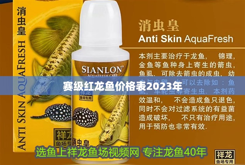 賽級紅龍魚價格表2023年