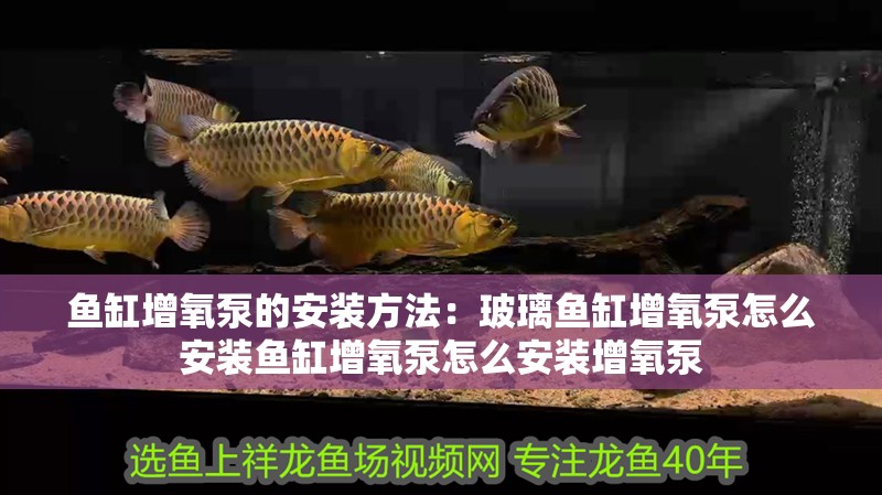 魚缸增氧泵的安裝方法：玻璃魚缸增氧泵怎么安裝魚缸增氧泵怎么安裝增氧泵