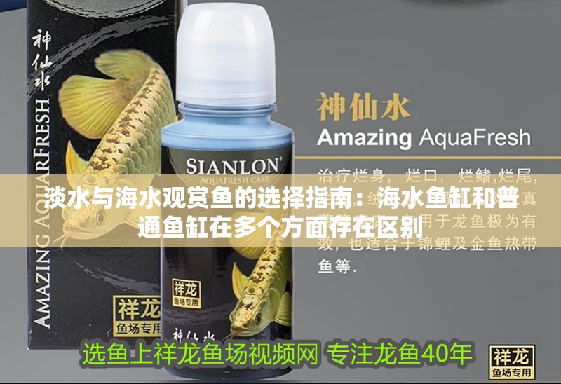 淡水與海水觀賞魚的選擇指南：海水魚缸和普通魚缸在多個方面存在區別