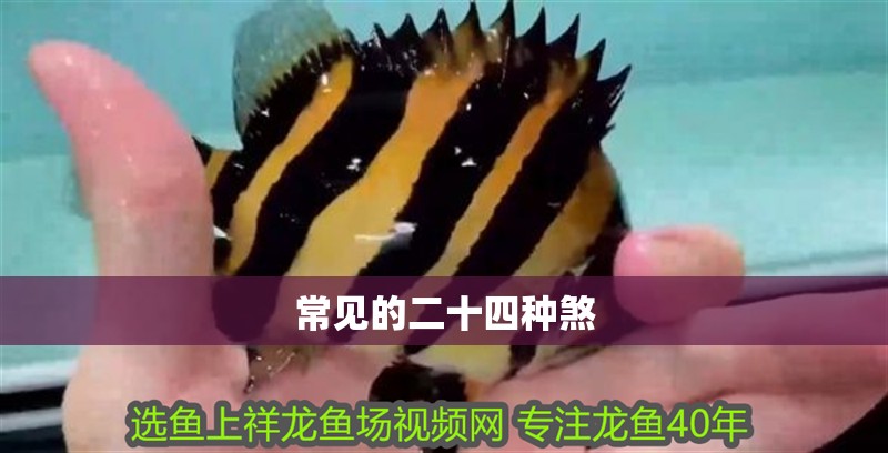 常見的二十四種煞 常見的二十四種煞 龍魚論壇