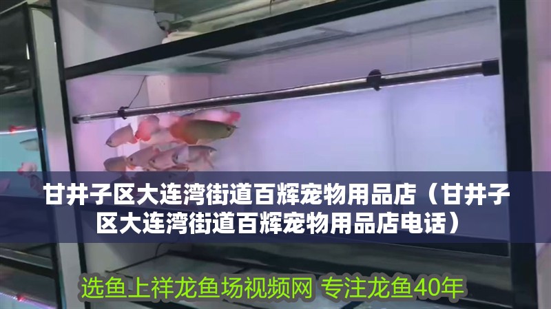 甘井子區(qū)大連灣街道百輝寵物用品店（甘井子區(qū)大連灣街道百輝寵物用品店電話）