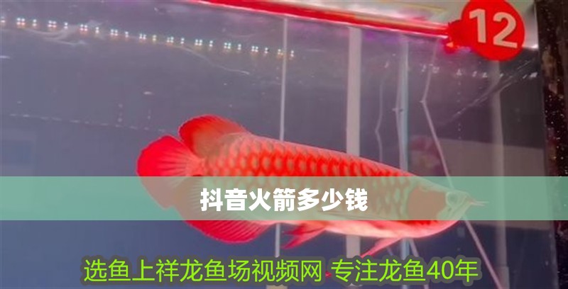 抖音火箭多少錢