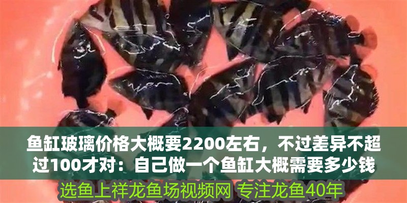 魚缸玻璃價格大概要2200左右，不過差異不超過100才對：自己做一個魚缸大概需要多少錢 魚缸玻璃價格大概要2200左右，不過差異不超過100才對：自己做一個魚缸大概需要多少錢 魚缸百科