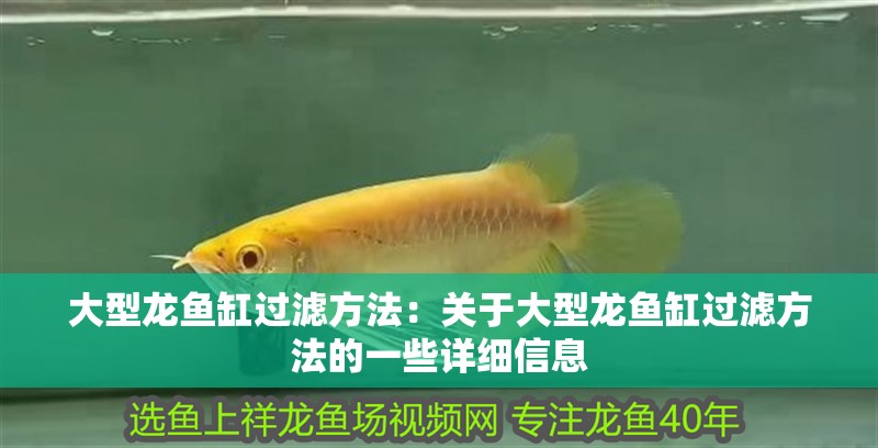 大型龍魚缸過濾方法：關于大型龍魚缸過濾方法的一些詳細信息