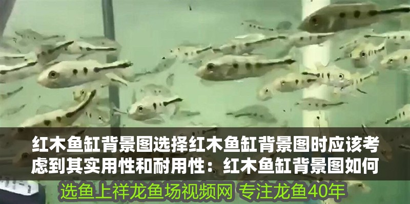 紅木魚缸背景圖選擇紅木魚缸背景圖時應該考慮到其實用性和耐用性：紅木魚缸背景圖如何選擇