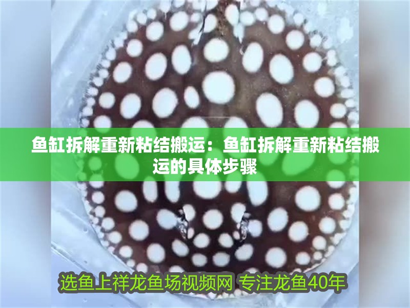魚缸拆解重新粘結(jié)搬運(yùn)：魚缸拆解重新粘結(jié)搬運(yùn)的具體步驟