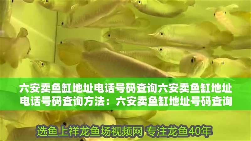 <strong><mark>六安</mark></strong>賣魚缸地址電話號碼查詢<strong><mark>六安</mark></strong>賣魚缸地址電話號碼查詢方法：<strong><mark>六安</mark></strong>賣魚缸地址號碼查詢