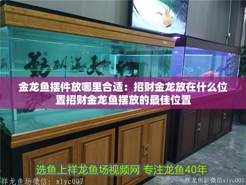 金龍魚擺件放哪里合適：招財金龍放在什么位置招財金龍魚擺放的最佳位置