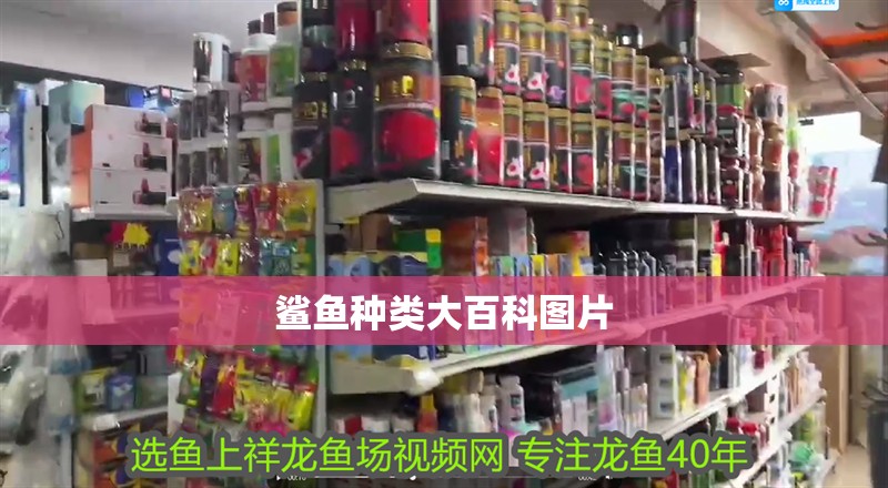鯊魚種類大百科圖片