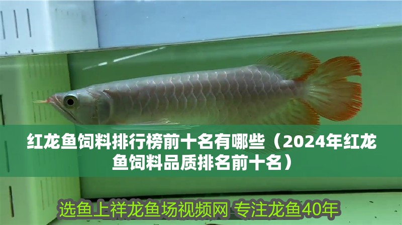紅龍魚飼料排行榜前十名有哪些（2024年紅龍魚飼料品質排名前十名）