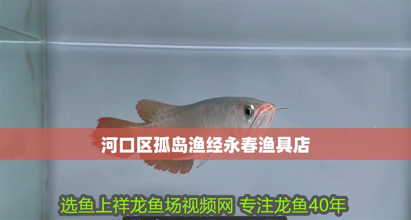 <strong><mark>河口</mark></strong>區孤島漁經永春漁具店