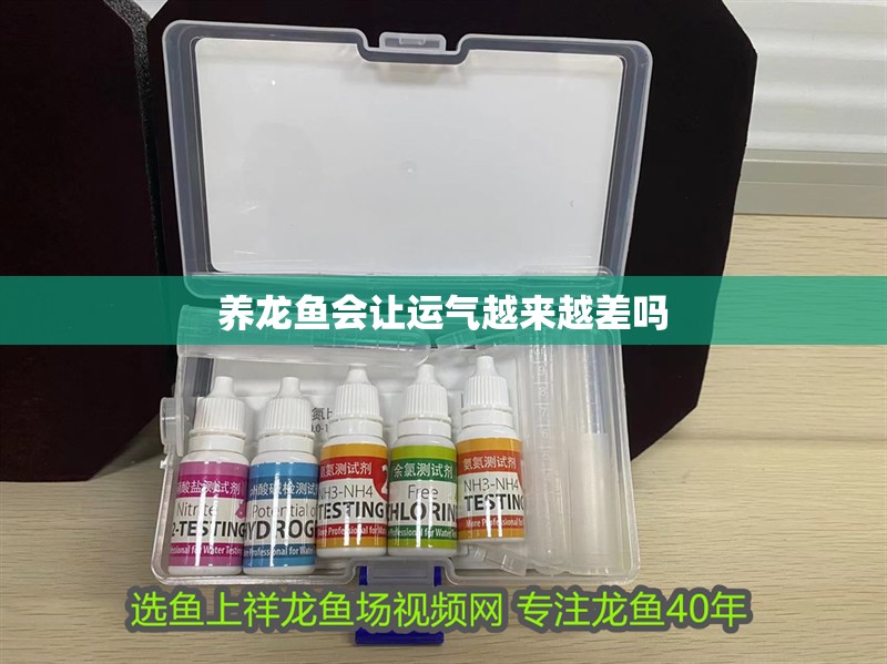 養龍魚會讓運氣越來越差嗎