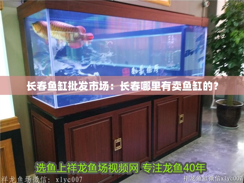 長春魚缸批發市場：長春哪里有賣魚缸的？