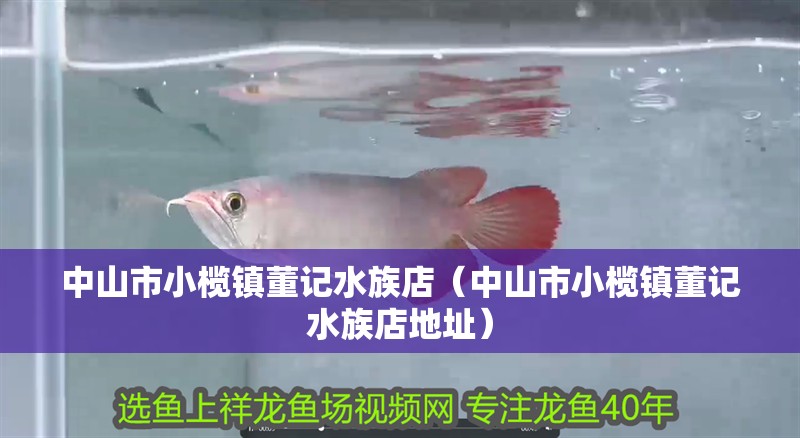 魚缸過濾器選購指南:自制魚缸過濾器魚缸上置過濾器對于養魚愛好者的必備知識 中山市小欖鎮董記水族店(中山市小欖鎮董記水族店地址) 全國水族館企業名錄 中山市小欖鎮董記水族店(中山市小欖鎮董記水族店地址) 中山市小欖鎮董記水族店(中山市小欖鎮董記水族店地址) 全國水族館企業名錄