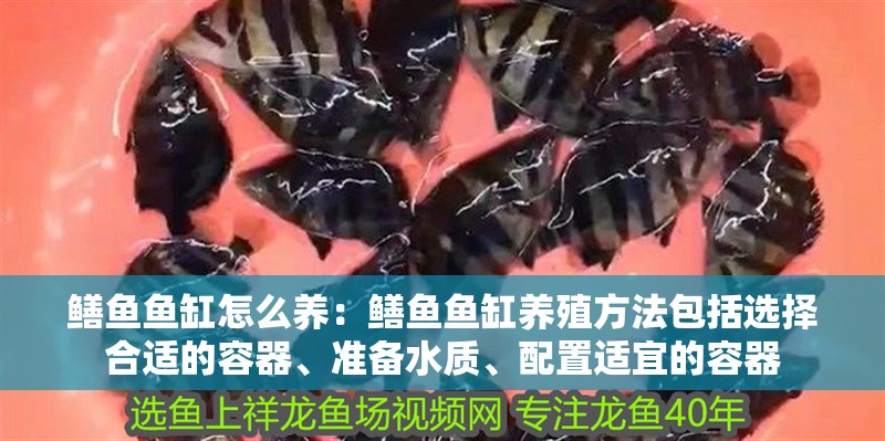 魚缸過濾器選購指南:自制魚缸過濾器魚缸上置過濾器對(duì)于養(yǎng)魚愛好者的必備知識(shí) 鱔魚魚缸怎么養(yǎng):鱔魚魚缸養(yǎng)殖方法包括選擇合適的容器、準(zhǔn)備水質(zhì)、配置適宜的容器 魚缸百科 鱔魚魚缸怎么養(yǎng):鱔魚魚缸養(yǎng)殖方法包括選擇合適的容器、準(zhǔn)備水質(zhì)、配置適宜的容器 鱔魚魚缸怎么養(yǎng):鱔魚魚缸養(yǎng)殖方法包括選擇合適的容器、準(zhǔn)備水質(zhì)、配置適宜的容器 魚缸百科