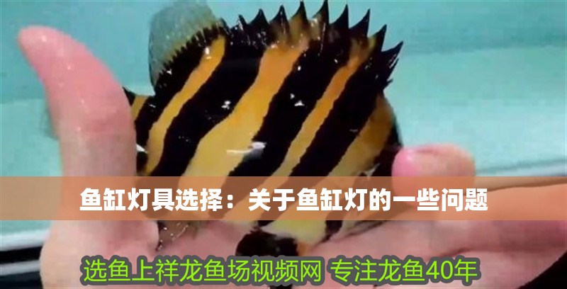 魚缸燈具選擇：關(guān)于魚缸燈的一些問(wèn)題