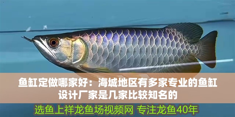 魚缸定做哪家好：海城地區(qū)有多家專業(yè)的魚缸設(shè)計廠家是幾家比較知名的