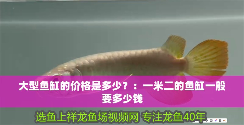 大型魚缸的價格是多少？：一米二的魚缸一般要多少錢