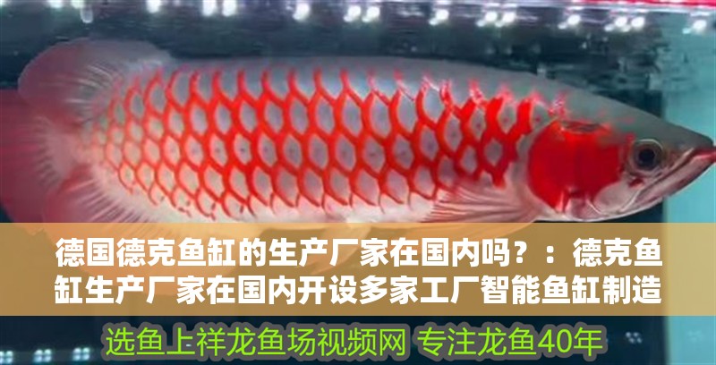 德國德克魚缸的生產廠家在國內嗎？：德克魚缸生產廠家在國內開設多家工廠智能魚缸制造業 德國德克魚缸的生產廠家在國內嗎？：德克魚缸生產廠家在國內開設多家工廠智能魚缸制造業 魚缸百科