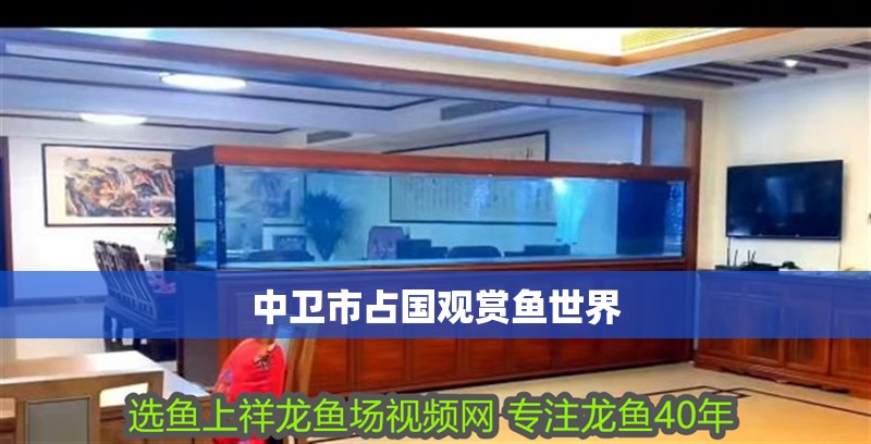 中衛市占國觀賞魚世界 中衛市占國觀賞魚世界 全國水族館企業名錄