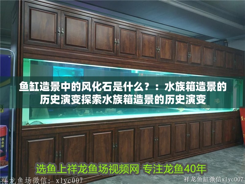 魚缸造景中的風化石是什么？：水族箱造景的歷史演變探索水族箱造景的歷史演變