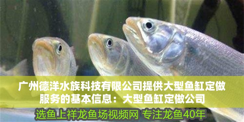 廣州德洋水族科技有限公司提供大型魚缸定做服務的基本信息：大型魚缸定做公司
