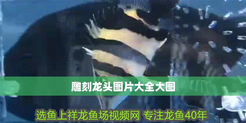 雕刻龍頭圖片大全大圖