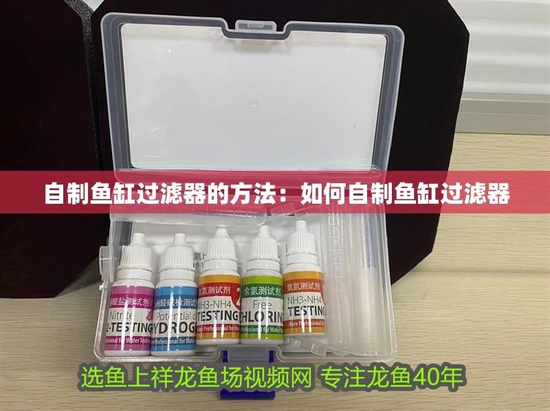 自制魚缸過濾器的方法：如何自制魚缸過濾器