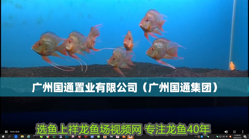 廣州國通置業有限公司（廣州國通集團） 廣州國通置業有限公司（廣州國通集團） 全國水族館企業名錄
