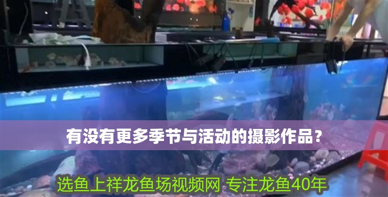 有沒有更多季節與活動的攝影作品？