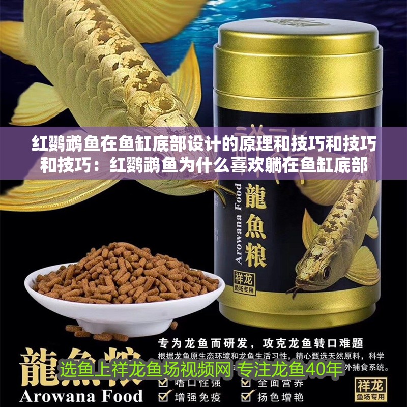 紅鸚鵡魚在魚缸底部設計的原理和技巧和技巧和技巧：紅鸚鵡魚為什么喜歡躺在魚缸底部