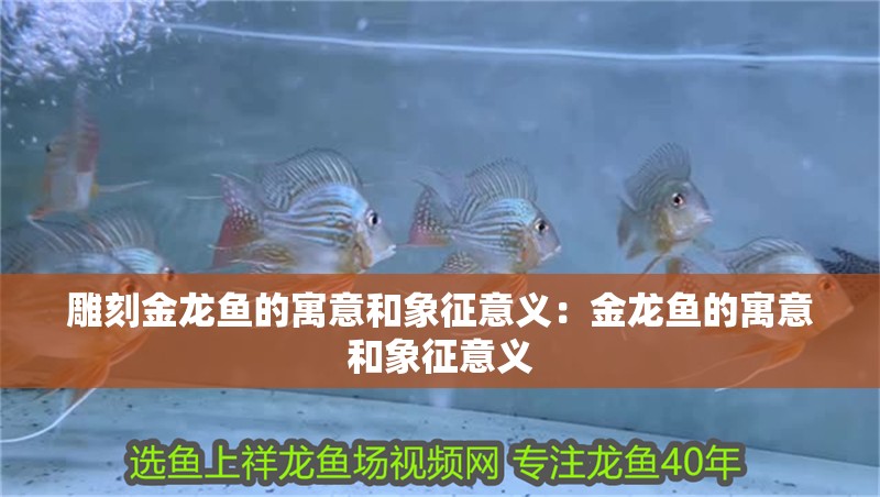 雕刻金龍魚的寓意和象征意義：金龍魚的寓意和象征意義