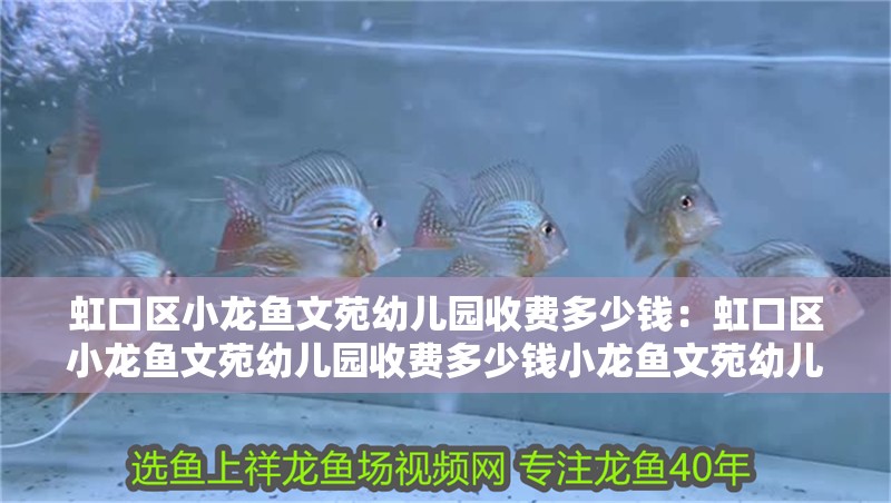 <strong><mark>虹口</mark></strong>區(qū)小龍魚文苑幼兒園收費多少錢：<strong><mark>虹口</mark></strong>區(qū)小龍魚文苑幼兒園收費多少錢小龍魚文苑幼兒園收費標準