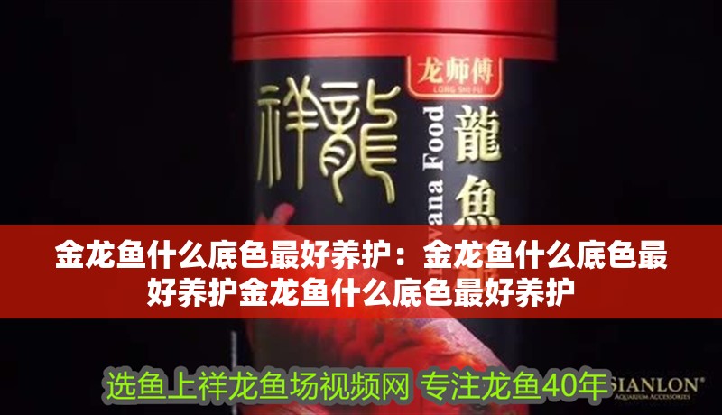 金龍魚什么底色最好養(yǎng)護：金龍魚什么底色最好養(yǎng)護金龍魚什么底色最好養(yǎng)護