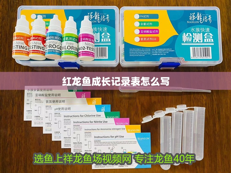 紅龍魚成長記錄表怎么寫