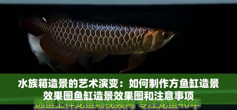 水族箱造景的藝術演變：如何制作方魚缸造景效果圖魚缸造景效果圖和注意事項