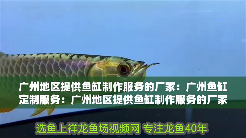 廣州地區(qū)提供魚缸制作服務(wù)的廠家：廣州魚缸定制服務(wù)：廣州地區(qū)提供魚缸制作服務(wù)的廠家 廣州地區(qū)提供魚缸制作服務(wù)的廠家：廣州魚缸定制服務(wù)：廣州地區(qū)提供魚缸制作服務(wù)的廠家 魚缸百科
