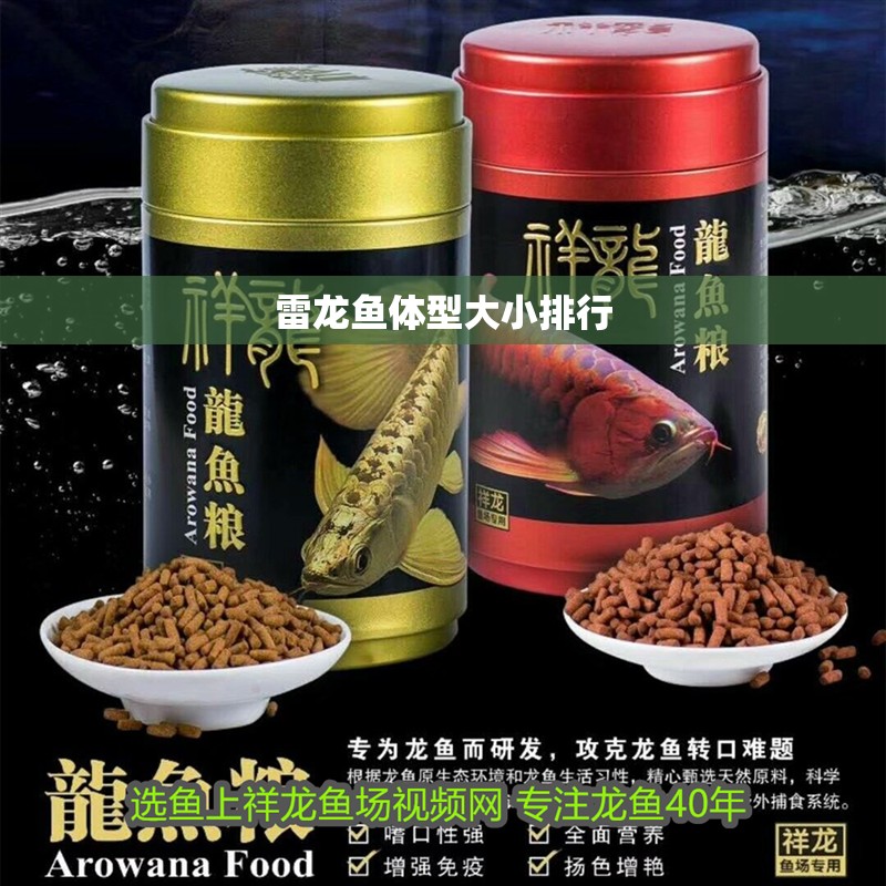 雷龍魚體型大小排行