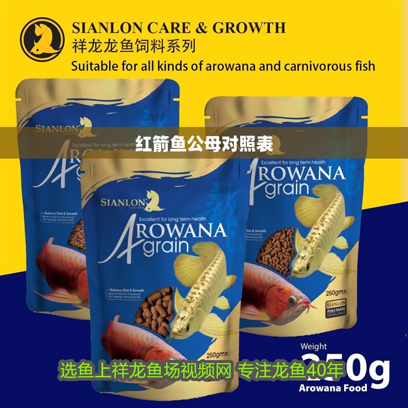 紅箭魚公母對照表