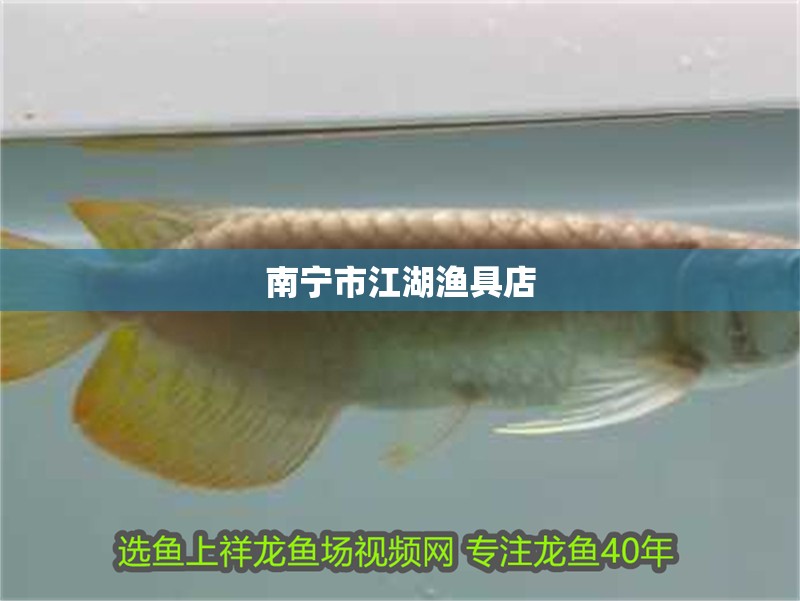 南寧市江湖漁具店 南寧市江湖漁具店 全國(guó)水族館企業(yè)名錄