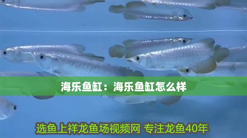 海樂魚缸：海樂魚缸怎么樣 海樂魚缸：海樂魚缸怎么樣 魚缸百科