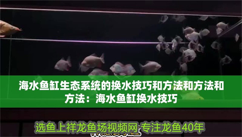 海水魚缸生態系統的換水技巧和方法和方法和方法：海水魚缸換水技巧