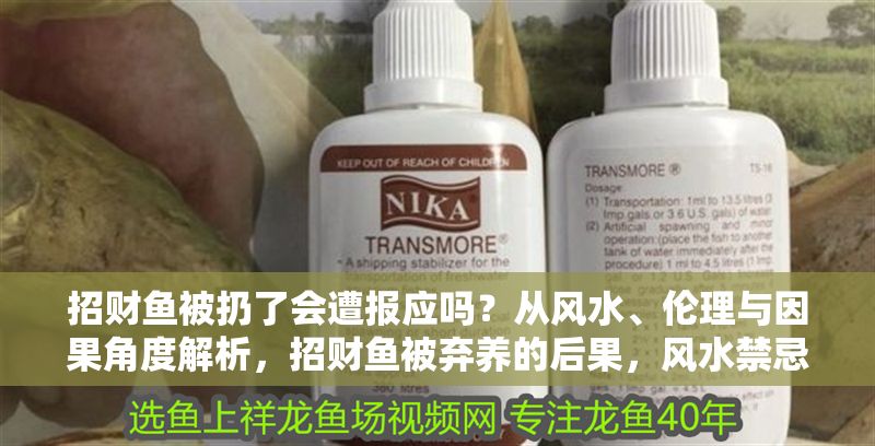 招財魚被扔了會遭報應嗎？從風水、倫理與因果角度解析，招財魚被棄養的后果，風水禁忌、倫理反思與因果報應探析