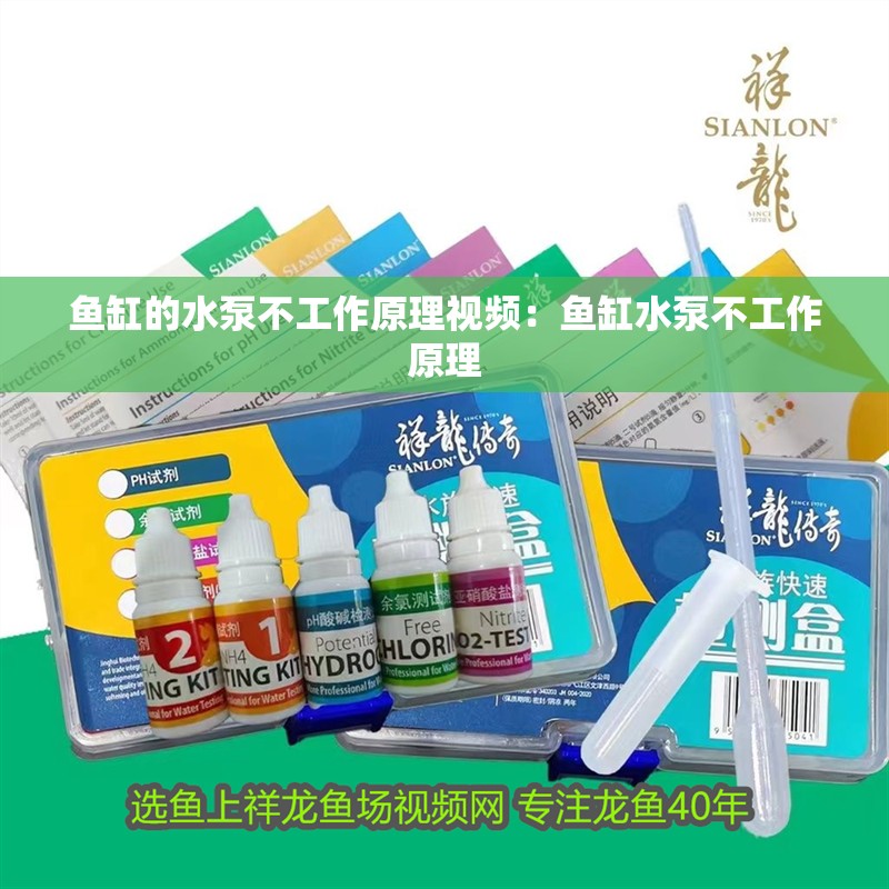 魚缸的水泵不工作原理視頻：魚缸水泵不工作原理